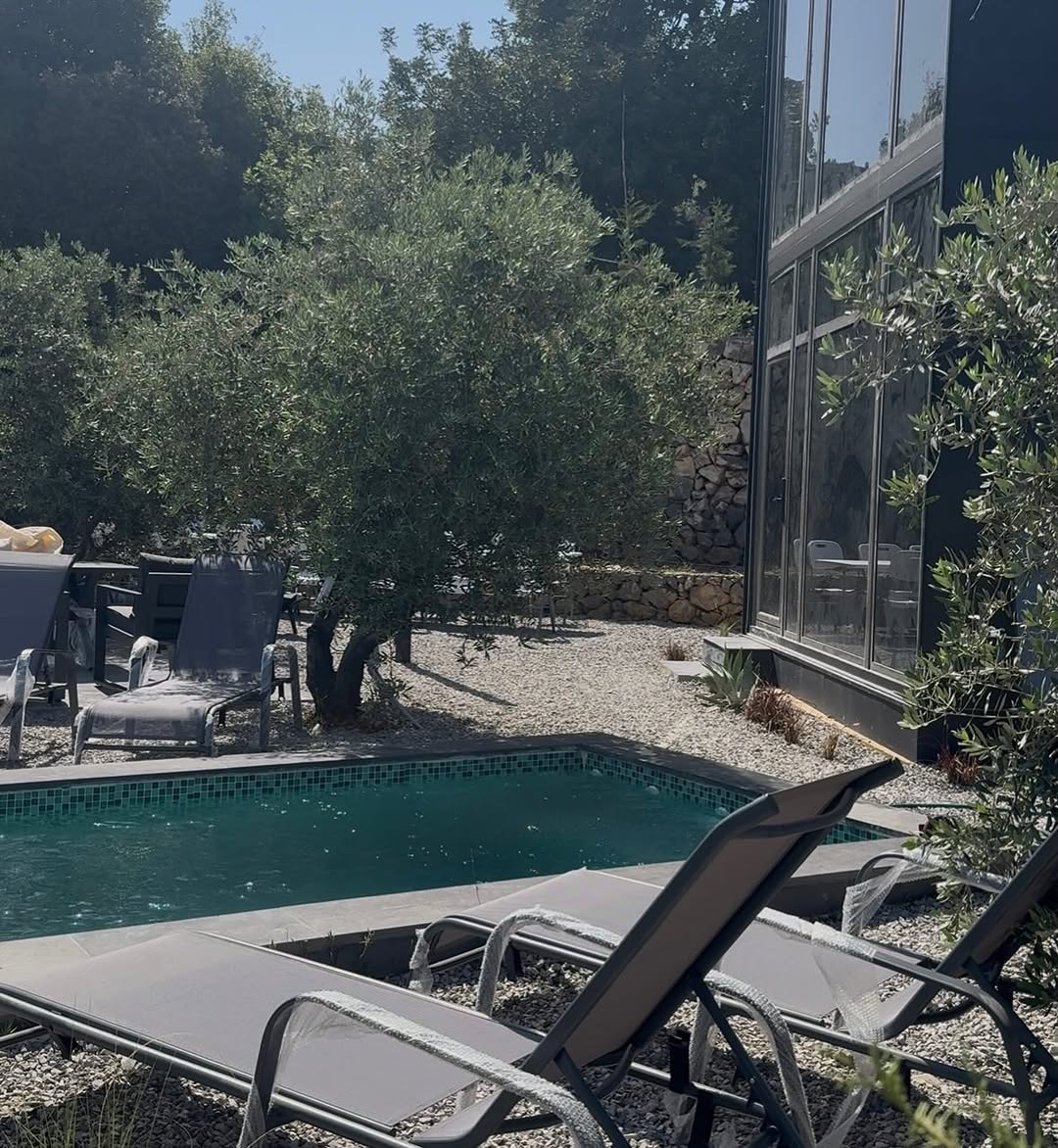 EmberHaus I pool and olive trees